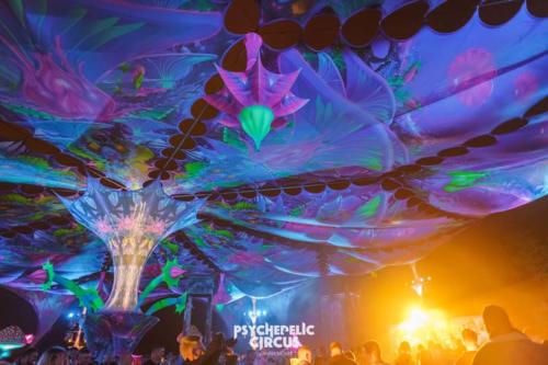 055 Psychedelic Circus 2022 by Anna Mohn - 1328 - online