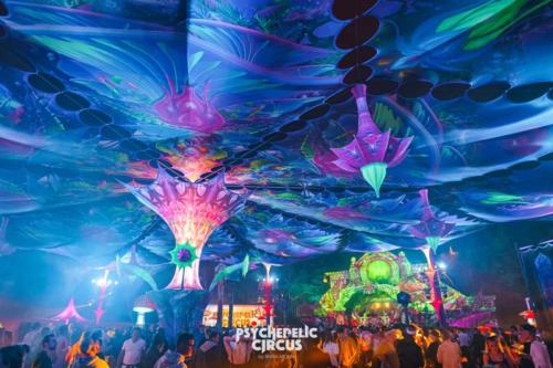 057 Psychedelic Circus 2022 by Anna Mohn - 1333 - online