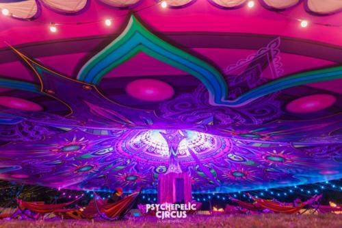 366 Psychedelic Circus 2022 by Kai Behrendt - KB204035- onlineRES